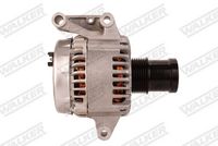 WALKER WAL01719 - Alternador