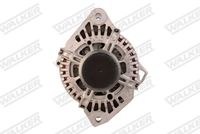 Schaeffler INA 535021910 - Rueda libre alternador