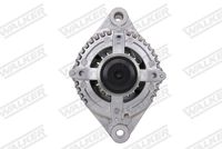 Schaeffler INA 535018110 - Rueda libre alternador