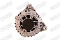 Schaeffler INA 535019410 - Rueda libre alternador