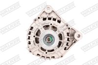 Stark SKRE2450073 - Regulador del alternador