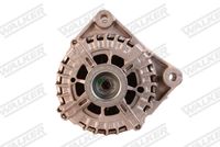 Stark SKPRB51660078 - Bomba de agua + kit de correa poli V
