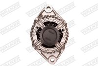 Schaeffler INA 535018810 - Rueda libre alternador