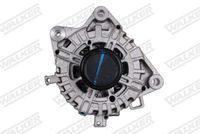 Schaeffler INA 535031010 - Rueda libre alternador