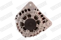 Schaeffler INA 535004810 - Rueda libre alternador