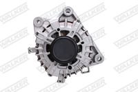 Schaeffler INA 535031010 - Rueda libre alternador