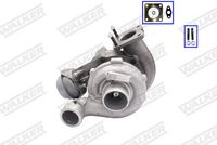 Schaeffler INA FB10X825 - Correa trapezoidal