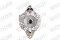 TRICLO 428959 - Rueda libre alternador
