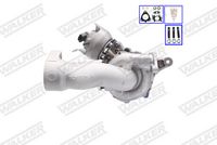LUCAS LTRPA8074891 - Turbocompresor, sobrealimentación - OE REMAN
