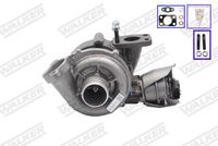 Stark SKCT1190058 - Turbocompresor, sobrealimentación
