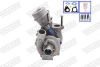 Schaeffler INA 534013120 - Tensor de correa, correa poli V