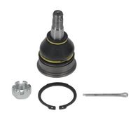 MOOG NIBJ12582 - Rótula de suspensión/carga