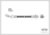 CORTECO 19032229 - Tubo flexible de frenos