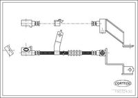 CORTECO 19032430 - Tubo flexible de frenos