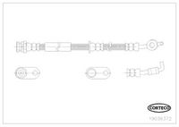 CORTECO 19036372 - Tubo flexible de frenos
