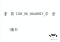 CORTECO 19036440 - Tubo flexible de frenos