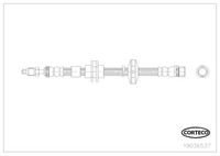 CORTECO 19036537 - Tubo flexible de frenos