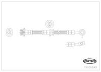CORTECO 19036848 - Tubo flexible de frenos