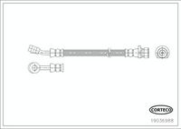 CORTECO 19036988 - Tubo flexible de frenos