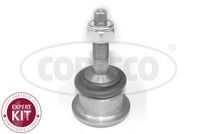 COMLINE CCA1155 - Barra oscilante, suspensión de ruedas