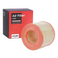 RIDEX 8A0541 - Filtro de aire