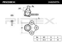 RIDEX 2462S0174 - Lado de montaje: Eje delantero<br>Lado de montaje: Eje delantero, izquierda<br>Lado de montaje: Eje delantero, derecha<br>Número de fabricación: ZSD-CT-001<br>