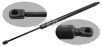 RIDEX 219G0266 - Muelle neumático, maletero/compartimento de carga
