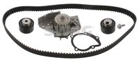 SNR KD45929 - Juego de correas dentadas