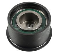SNR GT35325 - Polea tensora, correa dentada