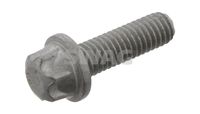 Metalcaucho 05954 - Juego de cadena de distribución