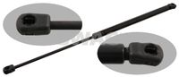 RIDEX 219G0025 - Muelle neumático, maletero/compartimento de carga