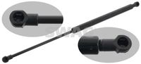 RIDEX 219G0090 - Muelle neumático, maletero/compartimento de carga