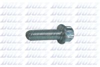 DOLZ SKCO004V - Juego de cadena de distribución