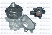 DOLZ B226 - Bomba de agua, refrigeración del motor