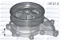 DAYCO DP081 - Bomba de agua, refrigeración del motor
