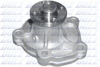 DOLZ S242 - Bomba de agua, refrigeración del motor