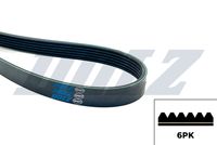 DAYCO 6PK1660 - Correa trapecial poli V