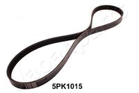 DAYCO 5PK1013 - Correa trapecial poli V