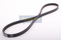 HART 334269 - Correa trapecial poli V