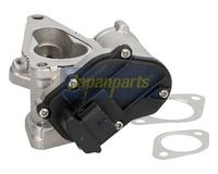 JAPANPARTS EGR-805 - Válvula EGR