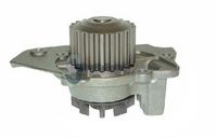DAYCO DP005 - Bomba de agua, refrigeración del motor