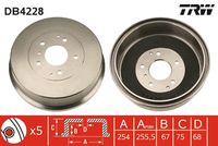 BREMBO 14774210 - Tambor de freno - ESSENTIAL LINE