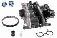 Schaeffler INA 538036010 - Bomba de agua, refrigeración del motor - Thermal management module