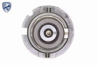 VEMO V10-84-0161 - Encendedor, lámpara descarga gases