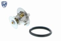 Stark SKTC0560016 - Termostato, refrigerante