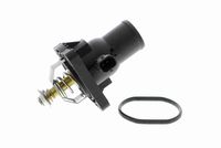 NTY CTMPL000 - Termostato, refrigerante