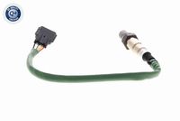 VEMO V46-76-0024 - Sonda Lambda