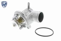 Stark SKTC0560062 - Termostato, refrigerante