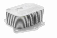 VEMO V22-60-0003 - Radiador de aceite, aceite motor