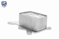 VEMO V42-60-0008 - Radiador de aceite, aceite motor